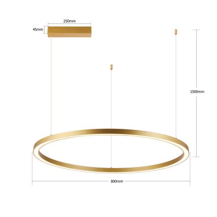 Brilagi - Lustre LED à intensité variable sur câble PORTOFINO LED/60W/230V 3000-6000K Ø 80 cm doré + télécommande