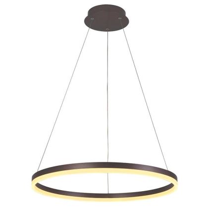 Brilagi - Suspension LED dimmable sur câble CIRCLE LED/42W/230V 3000-6500K Ø 60 cm marron + télécommande