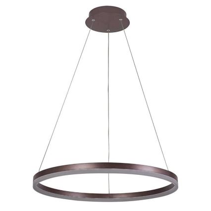 Brilagi - Suspension LED dimmable sur câble CIRCLE LED/42W/230V 3000-6500K Ø 60 cm marron + télécommande