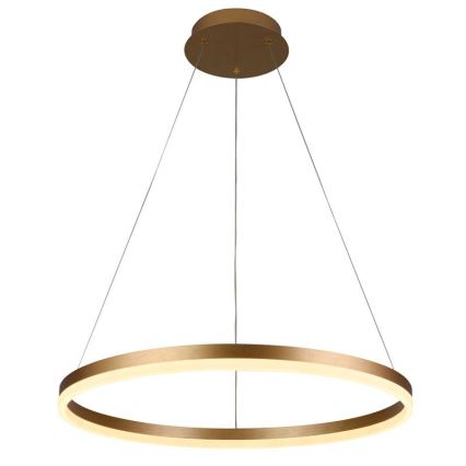 Brilagi - suspension LED dimmable sur câble CIRCLE LED/42W/230V 3000-6500K Ø 60 cm + télécommande