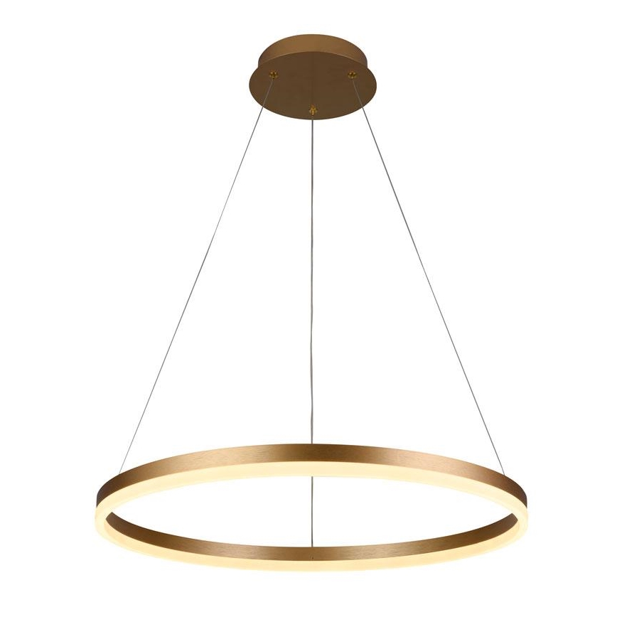 Brilagi - suspension LED dimmable sur câble CIRCLE LED/42W/230V 3000-6500K Ø 60 cm + télécommande