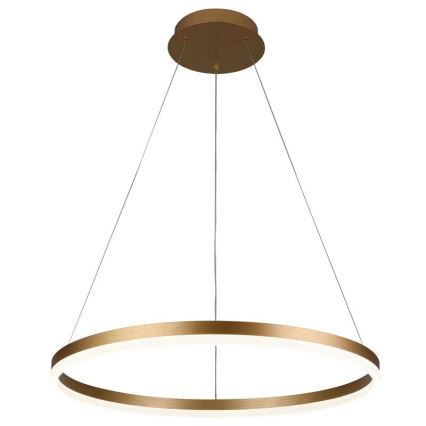 Brilagi - suspension LED dimmable sur câble CIRCLE LED/42W/230V 3000-6500K Ø 60 cm + télécommande