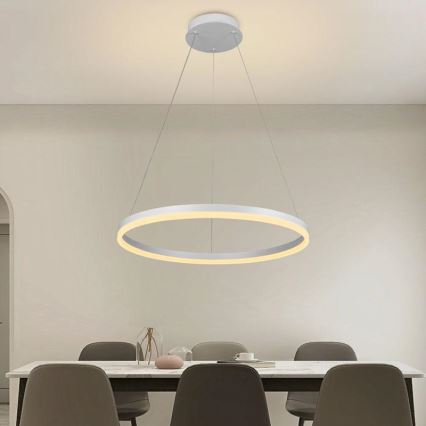 Brilagi - Suspension LED dimmable sur câble CIRCLE LED/42W/230V 3000–6500K ø 60 cm + télécommande