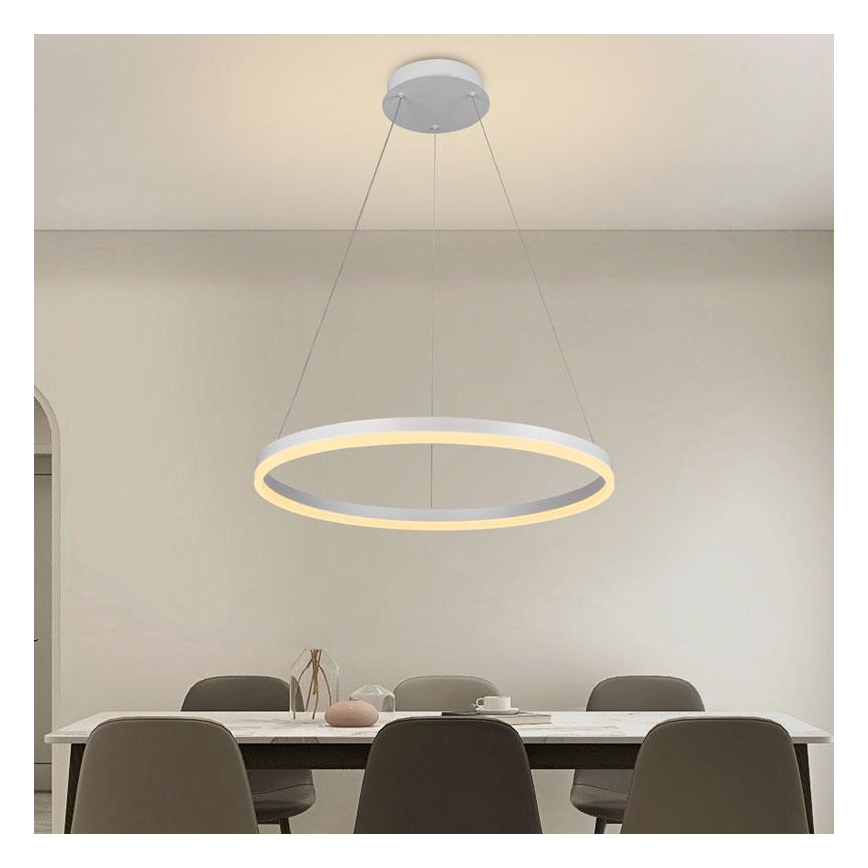 Brilagi - Suspension LED dimmable sur câble CIRCLE LED/42W/230V 3000–6500K ø 60 cm + télécommande