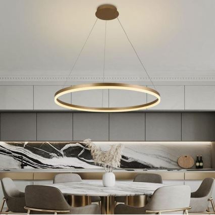 Brilagi - Suspension LED dimmable sur câble CIRCLE LED/55W/230V 3000-6500K Ø 80 cm dorée + télécommande