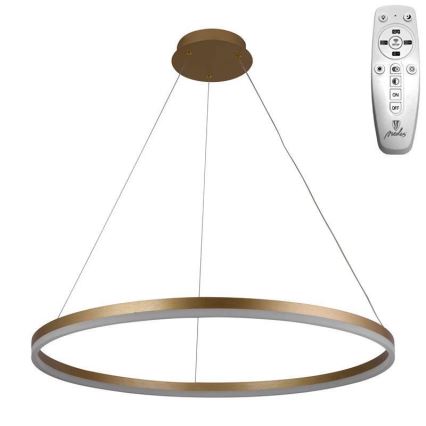 Brilagi - Suspension LED dimmable sur câble CIRCLE LED/55W/230V 3000-6500K Ø 80 cm dorée + télécommande