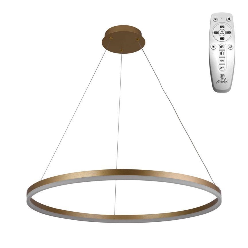 Brilagi - Suspension LED dimmable sur câble CIRCLE LED/55W/230V 3000-6500K Ø 80 cm dorée + télécommande