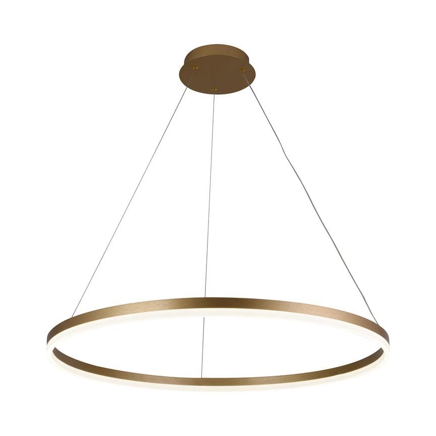 Brilagi - Suspension LED dimmable sur câble CIRCLE LED/55W/230V 3000-6500K Ø 80 cm dorée + télécommande