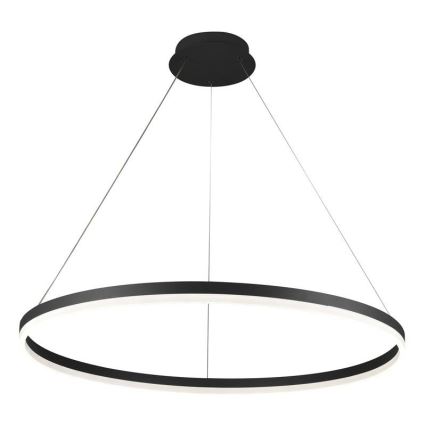 Brilagi - Suspension LED dimmable sur câble CIRCLE LED/55W/230V 3000-6500K Ø 80 cm noire + télécommande
