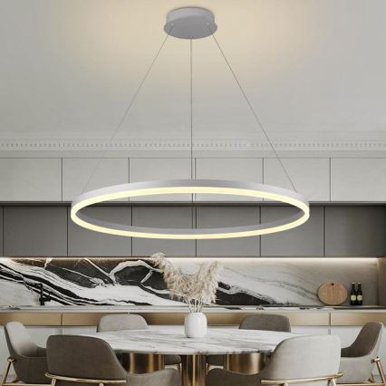 Brilagi - Suspension LED dimmable sur câble CIRCLE LED/55W/230V 3000-6500K + télécommande