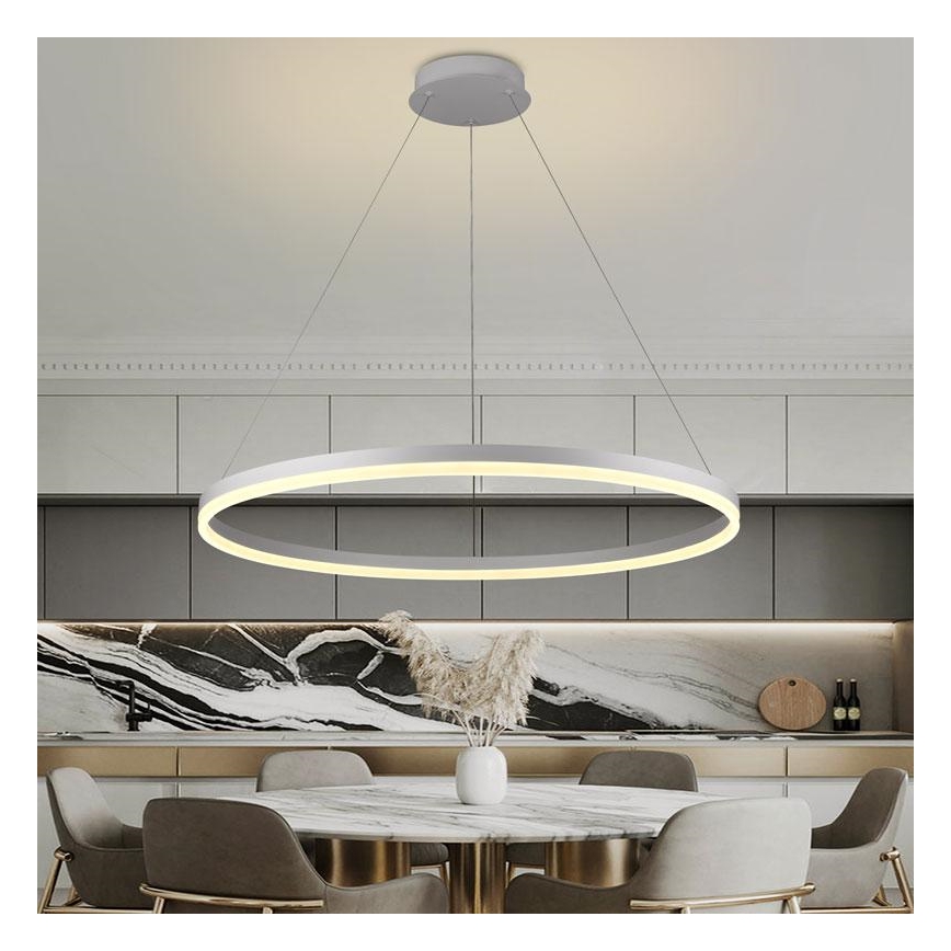 Brilagi - Suspension LED dimmable sur câble CIRCLE LED/55W/230V 3000-6500K + télécommande