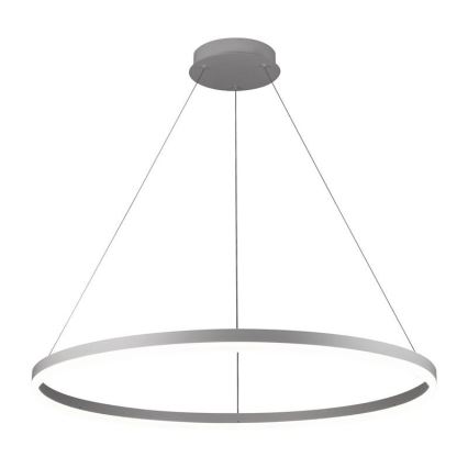 Brilagi - Suspension LED dimmable sur câble CIRCLE LED/55W/230V 3000-6500K + télécommande