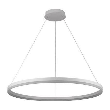 Brilagi - Suspension LED dimmable sur câble CIRCLE LED/55W/230V 3000-6500K + télécommande