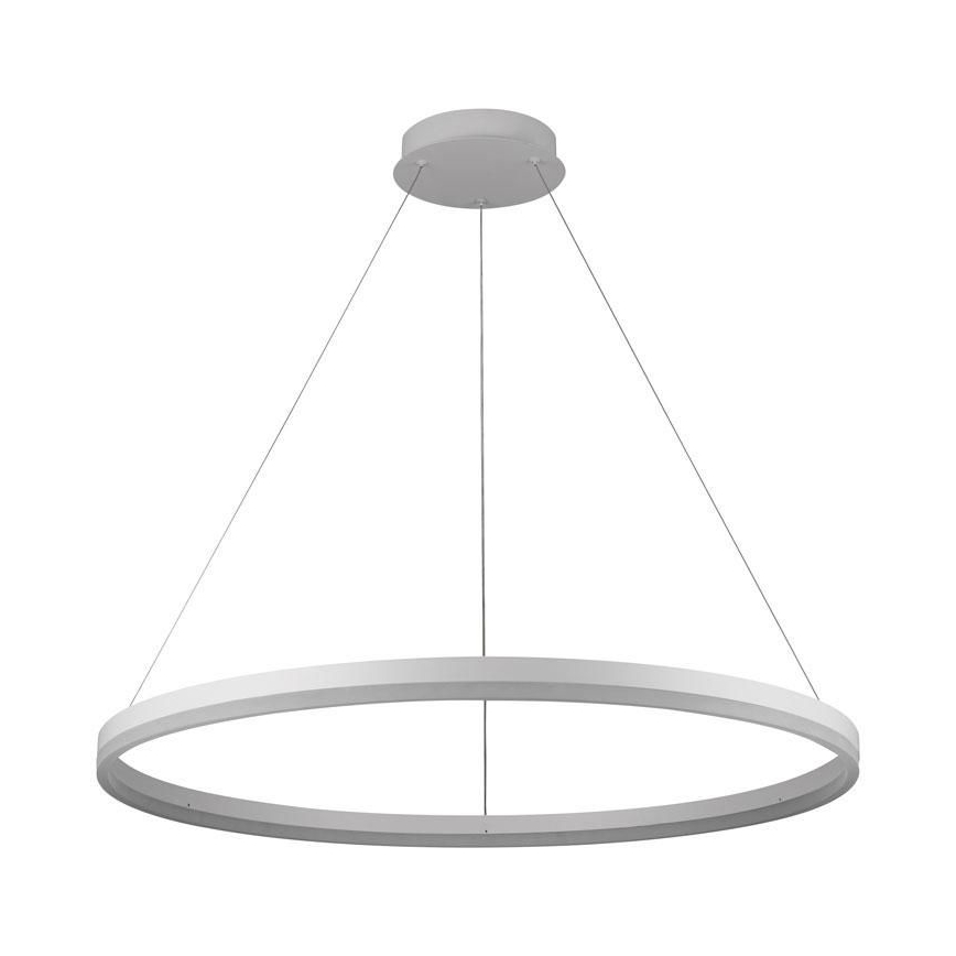 Brilagi - Suspension LED dimmable sur câble CIRCLE LED/55W/230V 3000-6500K + télécommande