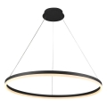 Brilagi - Suspension LED dimmable sur câble CIRCLE LED/55W/230V 3000-6500K Ø 80 cm noir + télécommande