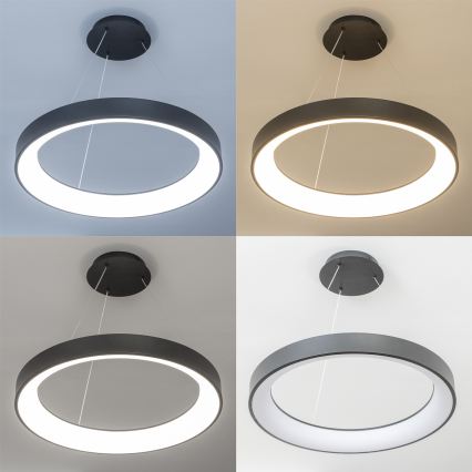 Brilagi - Lustre LED dimmable suspendu sur câble FALCON II LED/99W/230V 3000-6500K Ø 60 cm noir + télécommande