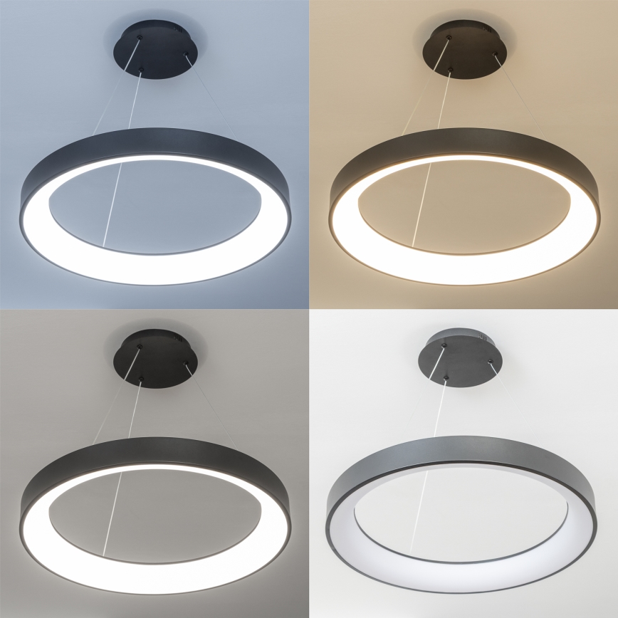 Brilagi - Lustre LED dimmable suspendu sur câble FALCON II LED/99W/230V 3000-6500K Ø 60 cm noir + télécommande