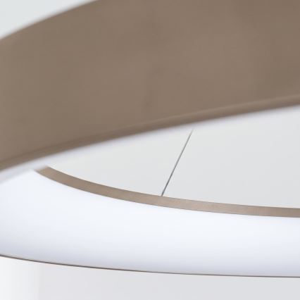 BRILAGI - Lustre LED dimmable sur câble FALCON II LED/108W/230V 3000-6500K Ø 80 cm beige + télécommande