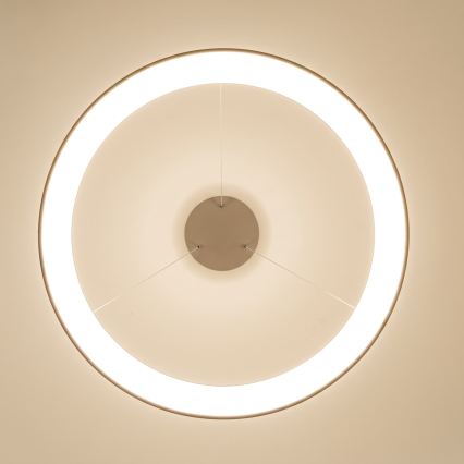 BRILAGI - Lustre LED dimmable sur câble FALCON II LED/108W/230V 3000-6500K Ø 80 cm beige + télécommande
