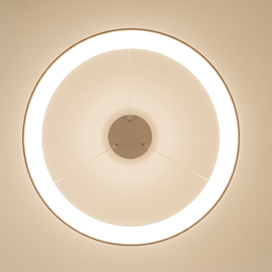BRILAGI - Lustre LED dimmable sur câble FALCON II LED/108W/230V 3000-6500K Ø 80 cm beige + télécommande