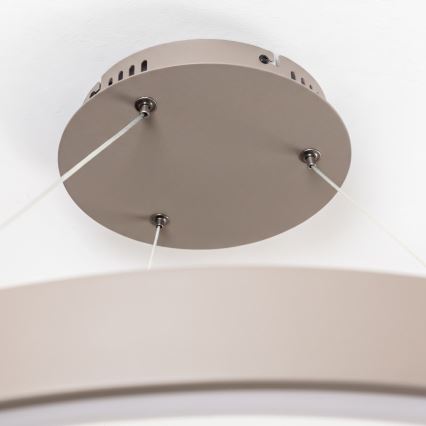 BRILAGI - Lustre LED dimmable sur câble FALCON II LED/108W/230V 3000-6500K Ø 80 cm beige + télécommande