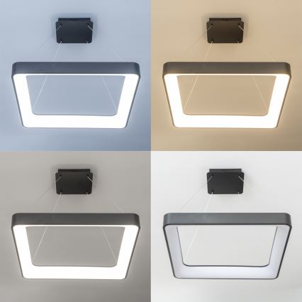 Brilagi - Suspension LED dimmable sur câble FALCON II LED / 125 W / 230 V 3000–6500 K 60 × 60 cm noire + télécommande