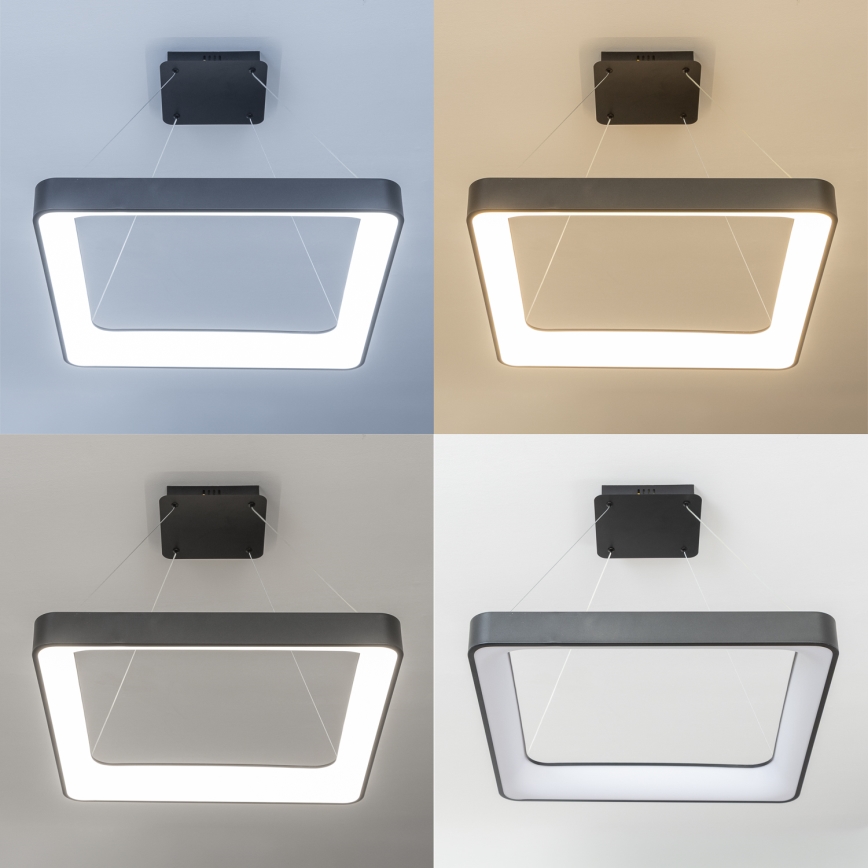 Brilagi - Suspension LED dimmable sur câble FALCON II LED / 125 W / 230 V 3000–6500 K 60 × 60 cm noire + télécommande