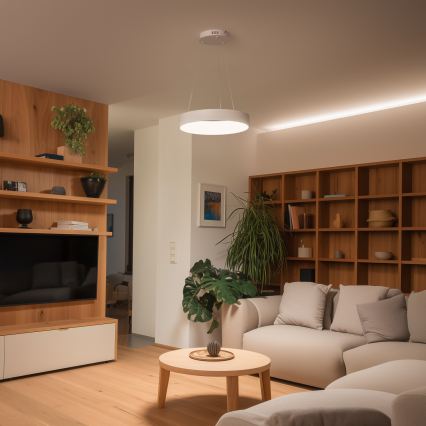 Brilagi - Suspension LED dimmable sur câble FALCON II LED/67W/230V 3000-6500K Ø 40 cm blanc + télécommande