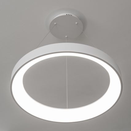 Brilagi - Suspension LED dimmable sur câble FALCON II LED/99W/230V 3000-6500K Ø 60 cm blanche + télécommande