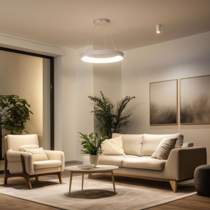 Brilagi - Suspension LED dimmable sur câble FALCON II LED/99W/230V 3000-6500K Ø 60 cm blanc + télécommande