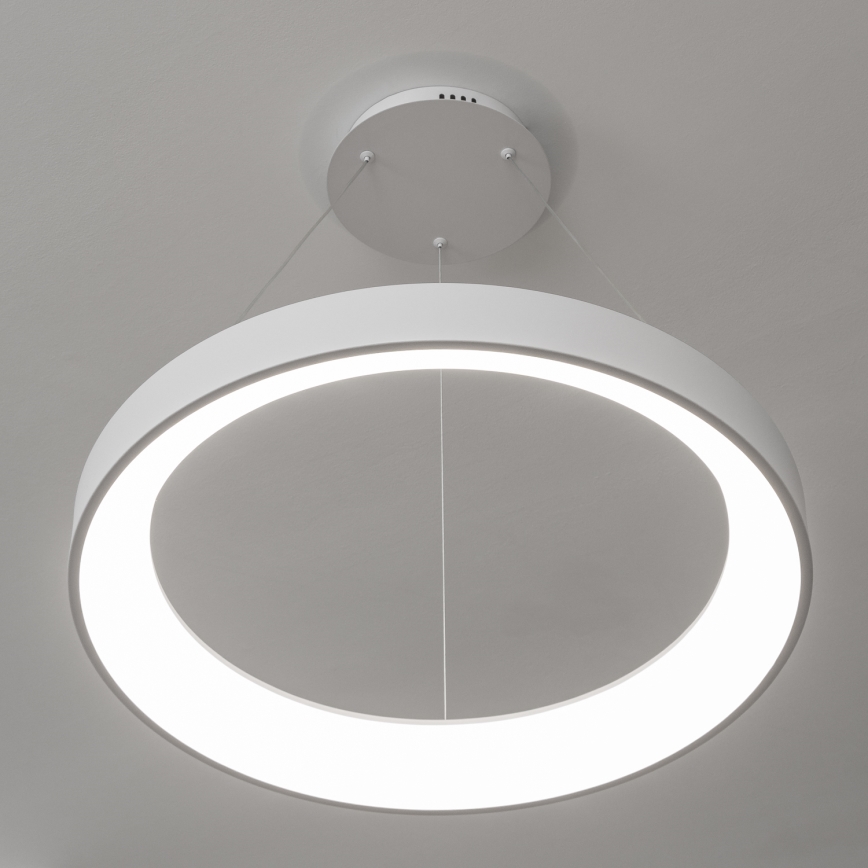 Brilagi - Suspension LED dimmable sur câble FALCON II LED/99W/230V 3000-6500K Ø 60 cm blanc + télécommande