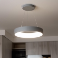 Brilagi - Suspension LED dimmable sur câble FALCON LED/80W/230V 3000-6500K Ø 60 cm gris + télécommande