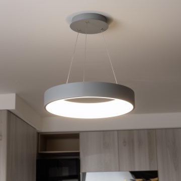 Brilagi - Suspension LED dimmable sur câble FALCON LED/80W/230V 3000-6500K Ø 60 cm gris + télécommande