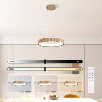 Brilagi - Suspension LED dimmable sur câble FALCON MODERN LED/30W/230V 3000-6500K 40 cm beige + télécommande