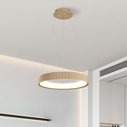 Brilagi - Suspension LED dimmable sur câble FALCON MODERN LED/30W/230V 3000-6500K 40 cm beige + télécommande