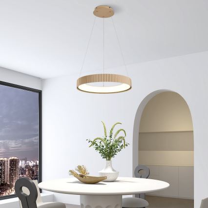 Brilagi - Suspension LED dimmable sur câble FALCON MODERN LED/30W/230V 3000-6500K 40 cm beige + télécommande
