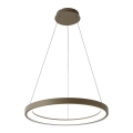 BRILAGI - Suspension LED dimmable sur câble FALCON SLIM LED/42W/230V 3000-6500K Ø 50 cm beige + télécommande