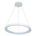 Brilagi - Suspension LED dimmable sur câble FALCON SLIM LED/42W/230V 3000–6500K Ø 50 cm blanc + télécommande