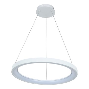Brilagi - Suspension LED dimmable sur câble FALCON SLIM LED/42W/230V 3000–6500K Ø 50 cm blanc + télécommande