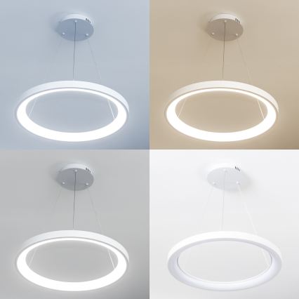 Brilagi - suspension LED dimmable sur câble FALCON SLIM LED/42W/230V 3000-6500K Ø 50 cm blanc + télécommande