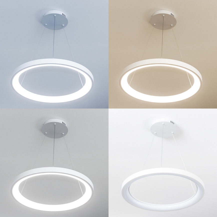 Brilagi - suspension LED dimmable sur câble FALCON SLIM LED/42W/230V 3000-6500K Ø 50 cm blanc + télécommande