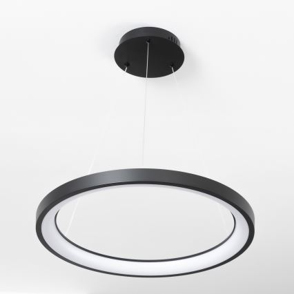 Brilagi - Suspension LED dimmable sur câble FALCON SLIM LED/42W/230V 3000-6500K diam. 50 cm noir + télécommande