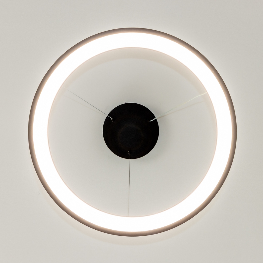 Brilagi - Suspension LED dimmable sur câble FALCON SLIM LED/42W/230V 3000-6500K diam. 50 cm noir + télécommande