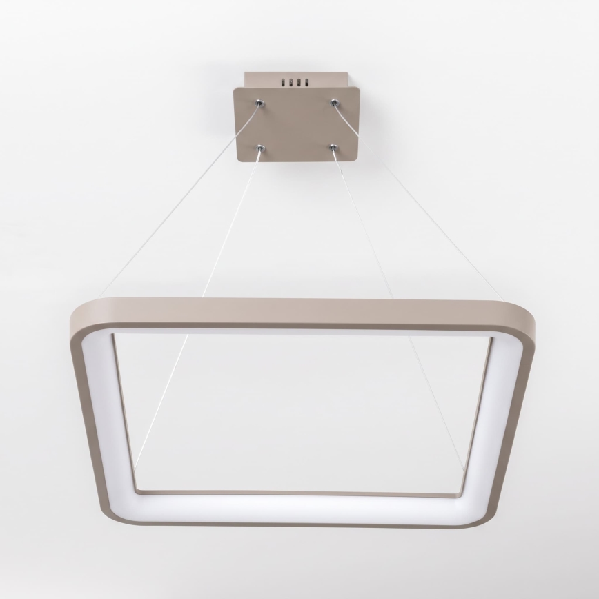 BRILAGI - LED lustre dimmable sur câble FALCON SLIM LED/50W/230V 3000-6500K 50x50 cm beige + télécommande