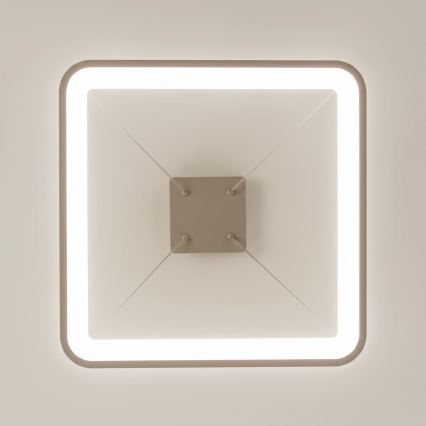 BRILAGI - LED lustre dimmable sur câble FALCON SLIM LED/50W/230V 3000-6500K 50x50 cm beige + télécommande