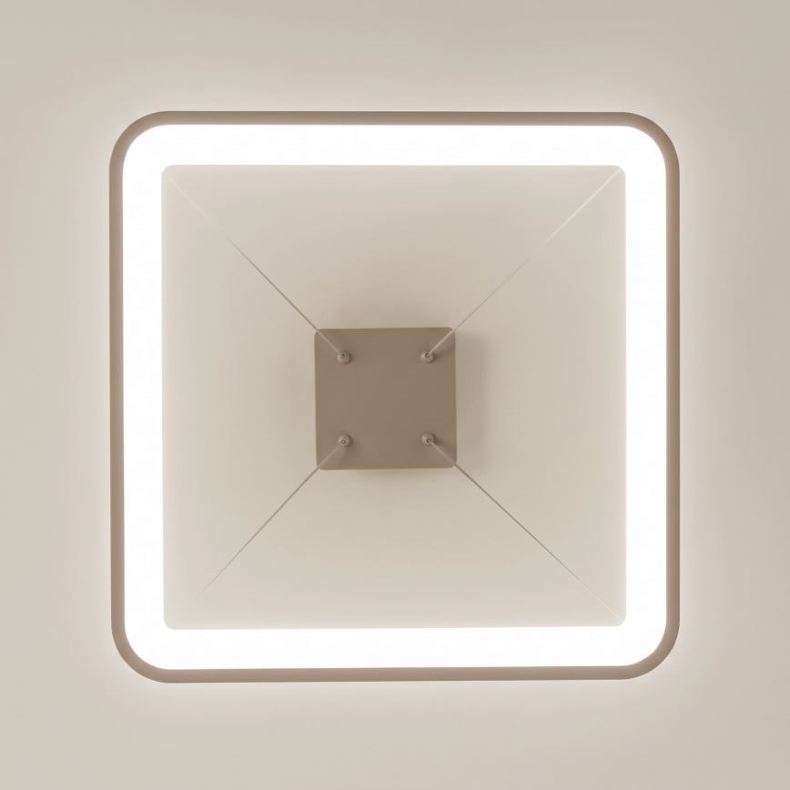 BRILAGI - LED lustre dimmable sur câble FALCON SLIM LED/50W/230V 3000-6500K 50x50 cm beige + télécommande