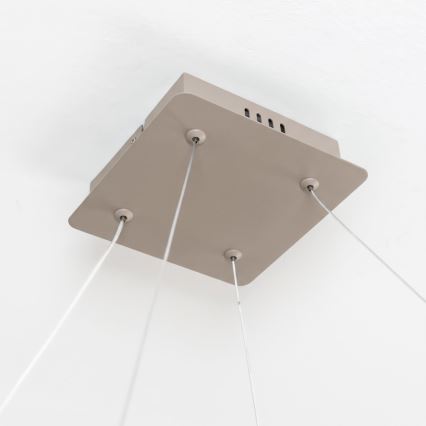 BRILAGI - LED lustre dimmable sur câble FALCON SLIM LED/50W/230V 3000-6500K 50x50 cm beige + télécommande