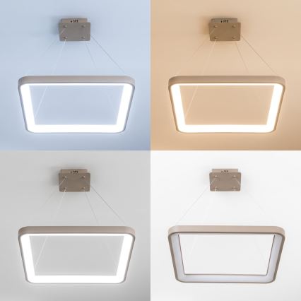 BRILAGI - LED lustre dimmable sur câble FALCON SLIM LED/50W/230V 3000-6500K 50x50 cm beige + télécommande