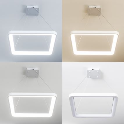 Brilagi - Suspension LED dimmable sur câble FALCON SLIM LED/50W/230V 3000-6500K 50x50 cm blanche + télécommande