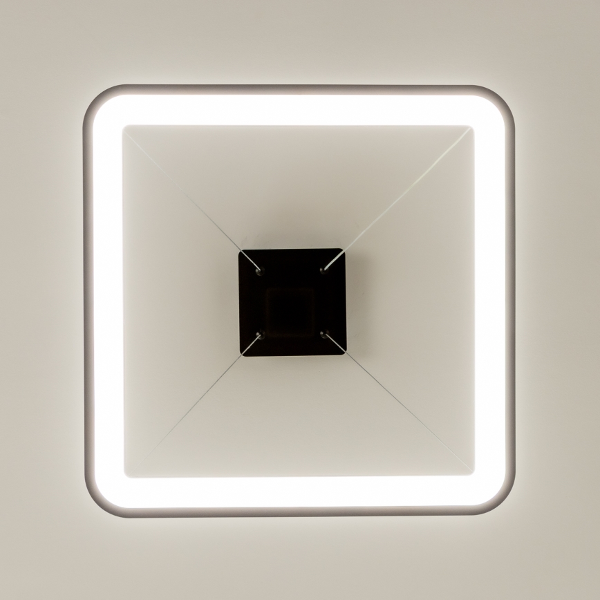 Brilagi - Suspension LED à intensité variable sur câble FALCON SLIM LED/50W/230V 3000-6500K 50x50 cm noir + télécommande